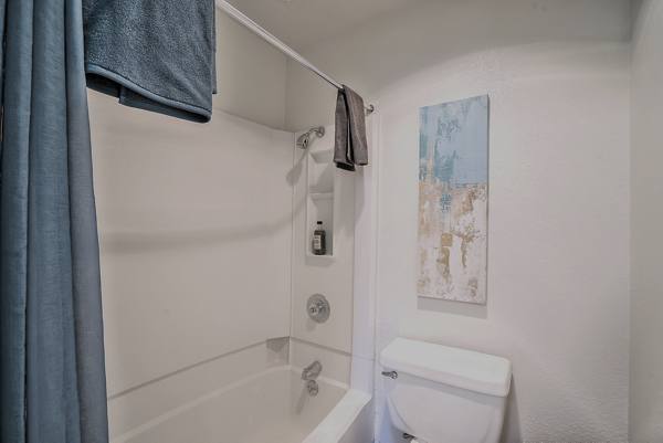 bathroom at Alvista at the Bridge Apartments