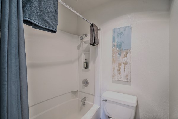 Modern bathroom featuring elegant fixtures at Alvista at the Bridge Apartments
