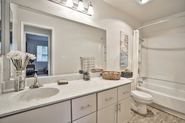 Modern bathroom with sleek fixtures at Alvista at the Bridge Apartments, Greystar's luxury living community
