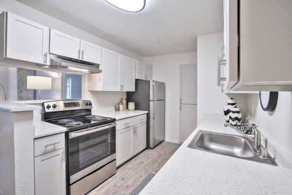 Modern kitchen with stainless steel appliances at Alvista at the Bridge Apartments, designed for luxury living in a vibrant community