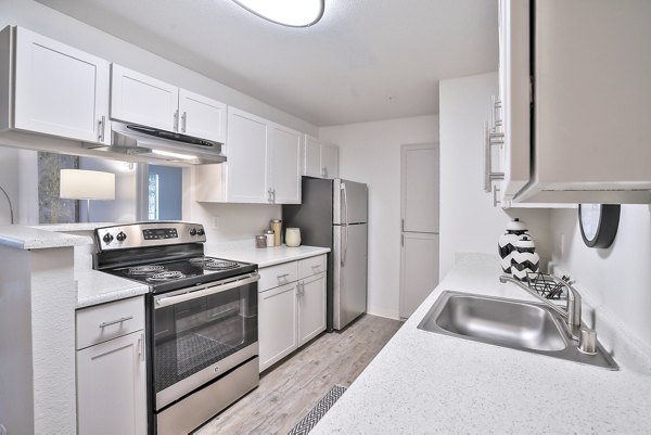 kitchen at Alvista at the Bridge Apartments