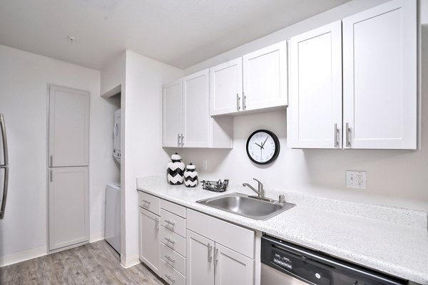 Modern kitchen with sleek cabinetry and stainless steel appliances in Alvista at the Bridge Apartments, luxury living near urban amenities