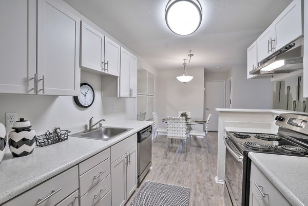 Modern kitchen featuring stainless steel appliances at Alvista at the Bridge Apartments Ideal for luxury living and culinary creativity
