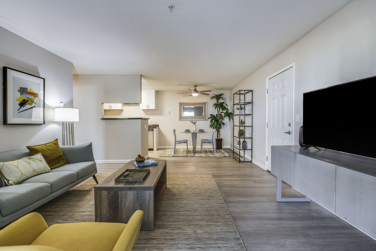 The Dutton Apartments 13 of 30