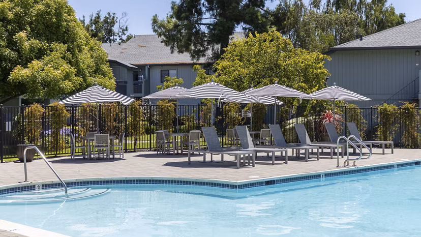pool at The Dutton Apartments
