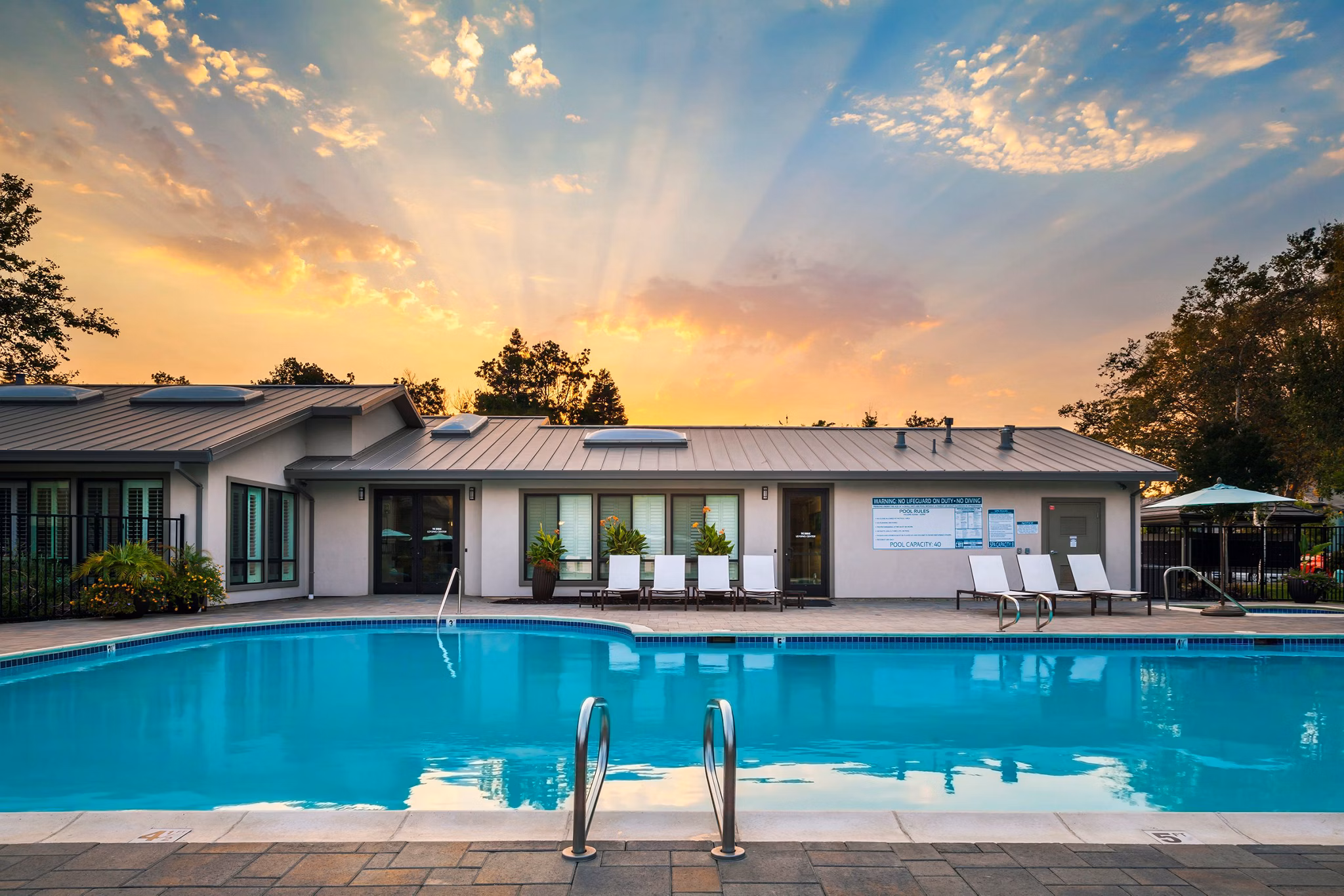 pool at The Dutton Apartments