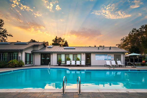 pool at The Dutton Apartments