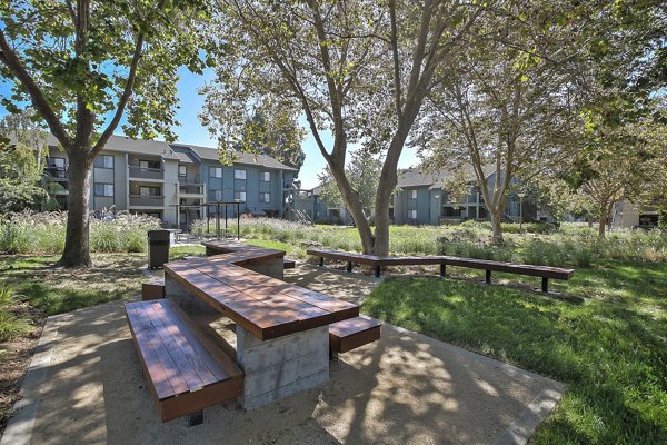 Charming courtyard with seating and greenery at Alvista at the Bridge Apartments