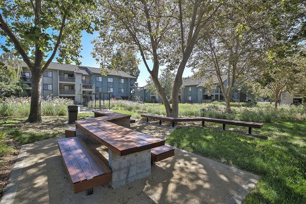 courtyard at Alvista at the Bridge Apartments