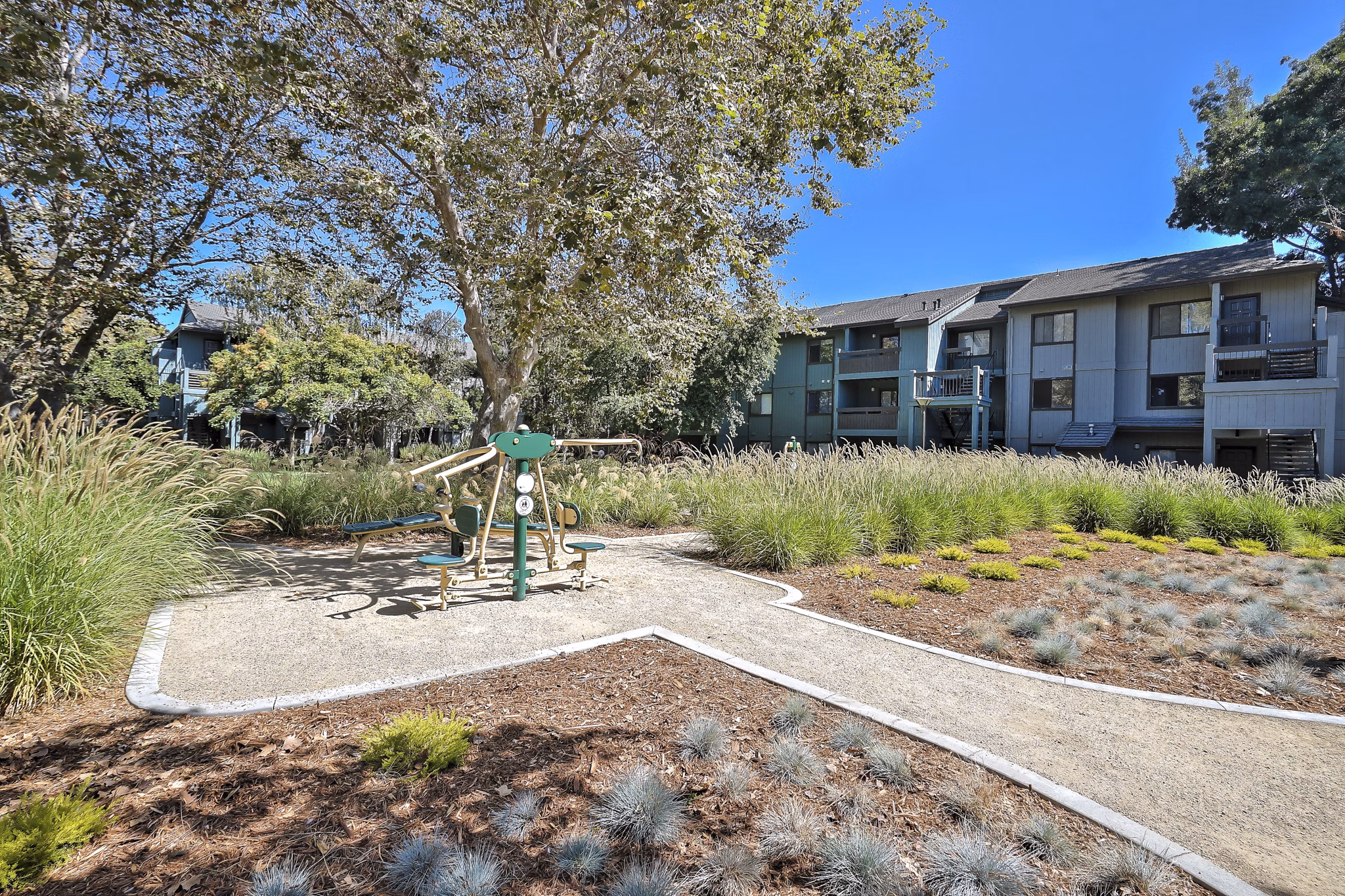 playground at The Dutton Apartments