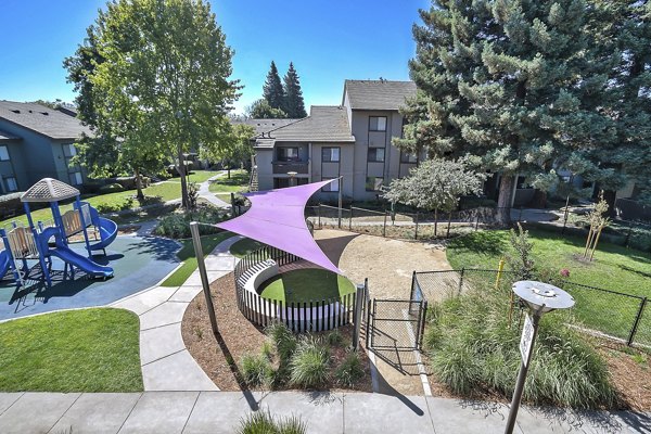 Playground area featuring modern equipment at Alvista at the Bridge Apartments