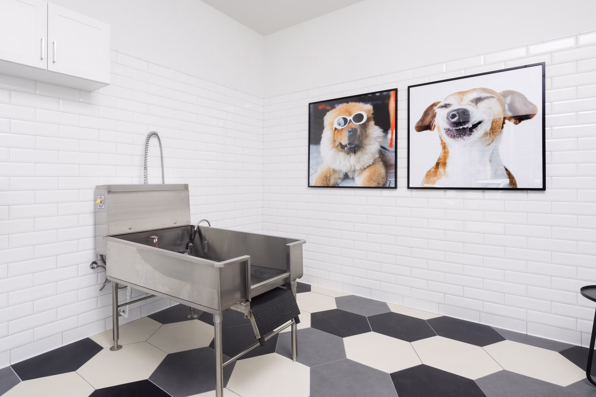 Convenient dog wash station at Boardwalk at Millenia Apartments, perfect for pet owners seeking modern pet-friendly living spaces