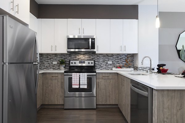 Modern kitchen with stainless steel appliances at Vaya Apartments, luxury living spaces in vibrant city setting