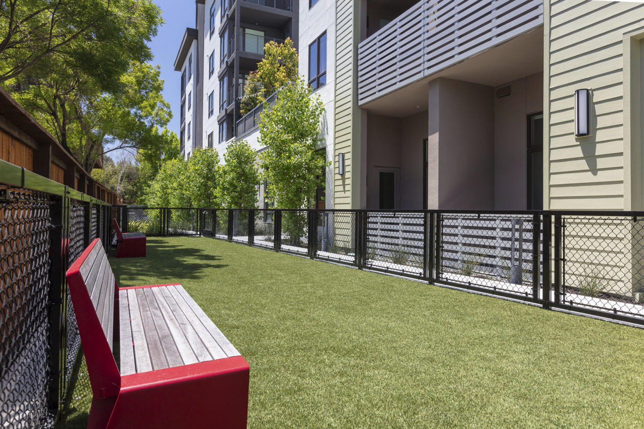 Vaya Apartments Walnut Creek Ca 2 of 12