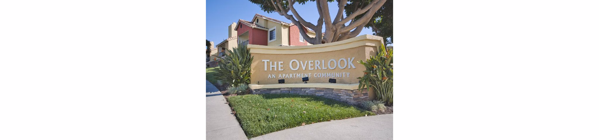 Overlook at Bernardo Heights apartments signage with modern design amidst lush landscaping