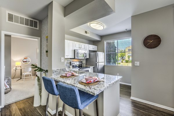 Modern kitchen with stainless steel appliances at Regents Court Apartments