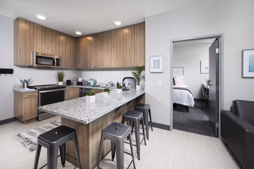 Modern kitchen with stainless steel appliances at Hornet Commons Apartments, Greystar luxury apartments in Sacramento
