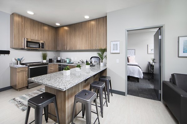Modern kitchen with stainless steel appliances at Hornet Commons Apartments, Greystar luxury apartments in Sacramento