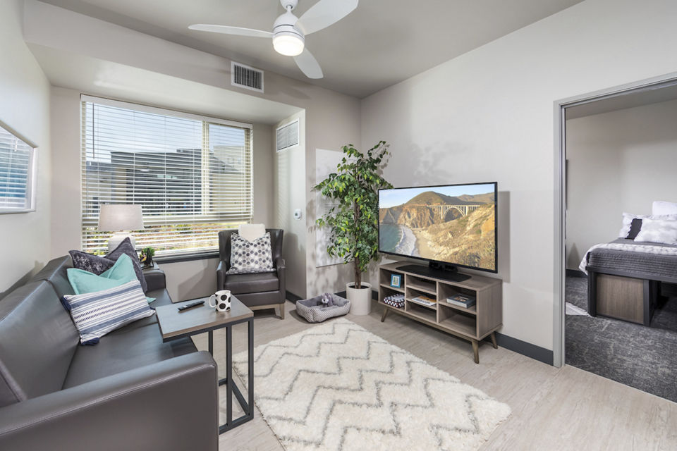 Spacious living room with modern decor at Hornet Commons Apartments, offering luxurious living spaces and amenities for a premium lifestyle
