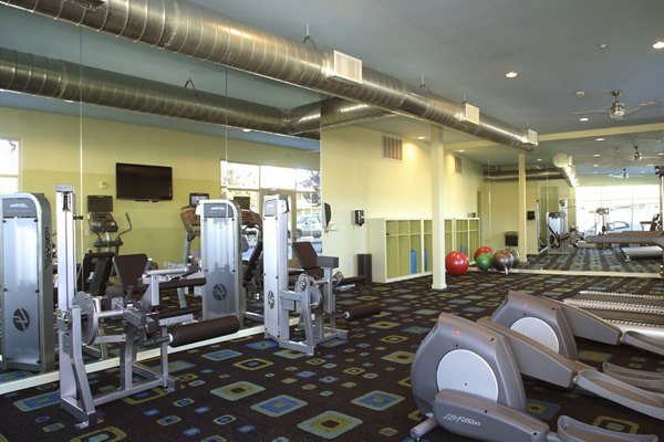 State-of-the-art fitness center with modern equipment at Museum Park Apartments, offering luxury living amenities in a vibrant community