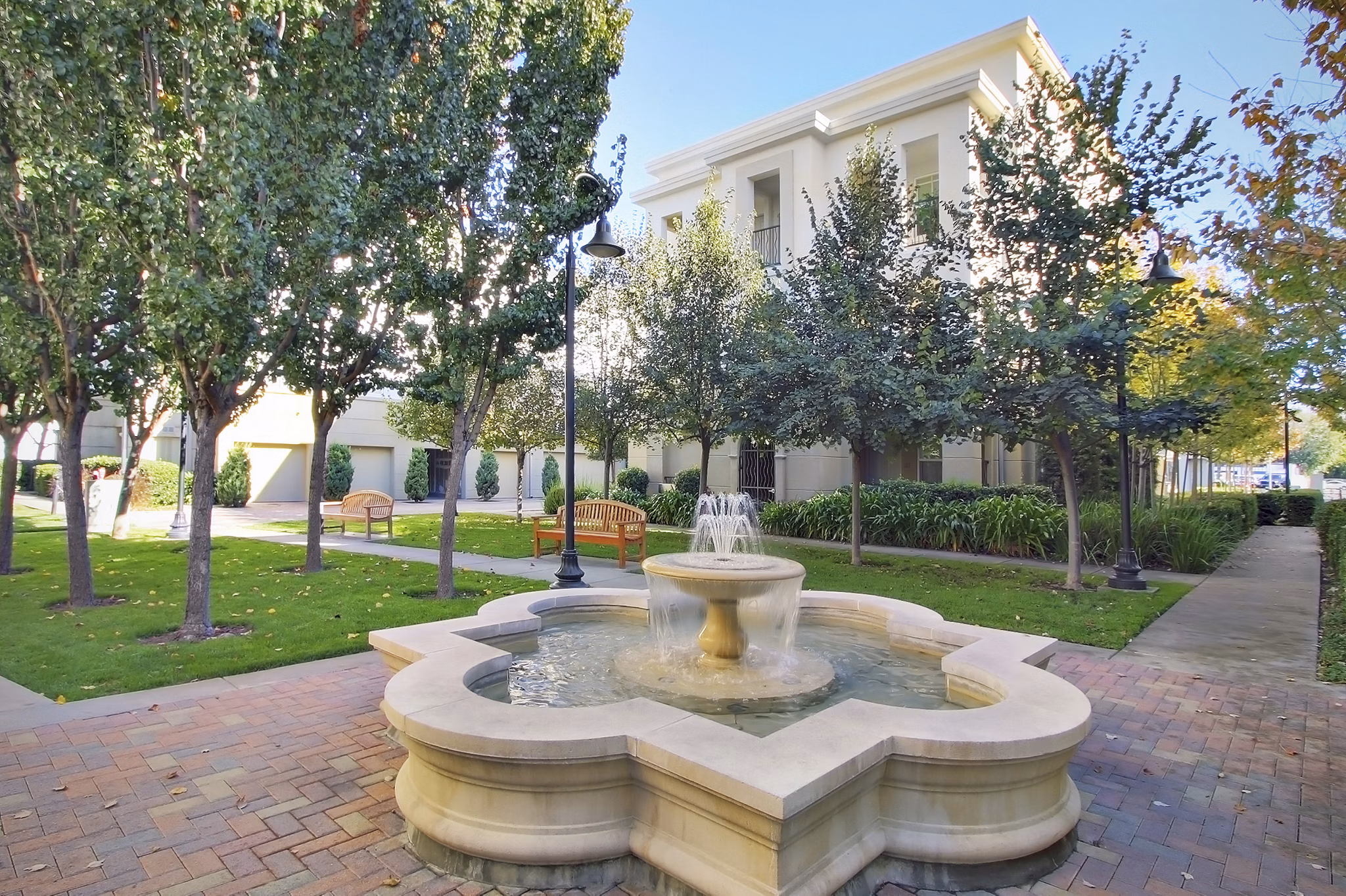 Courtyard with modern landscaping at Museum Park Apartments in vibrant urban setting