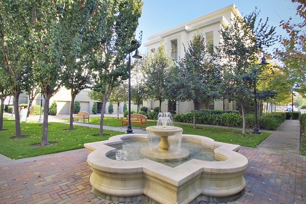 Courtyard with modern landscaping at Museum Park Apartments in vibrant urban setting