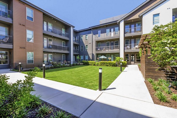 Courtyard with lush greenery at Album Benbrook Apartments