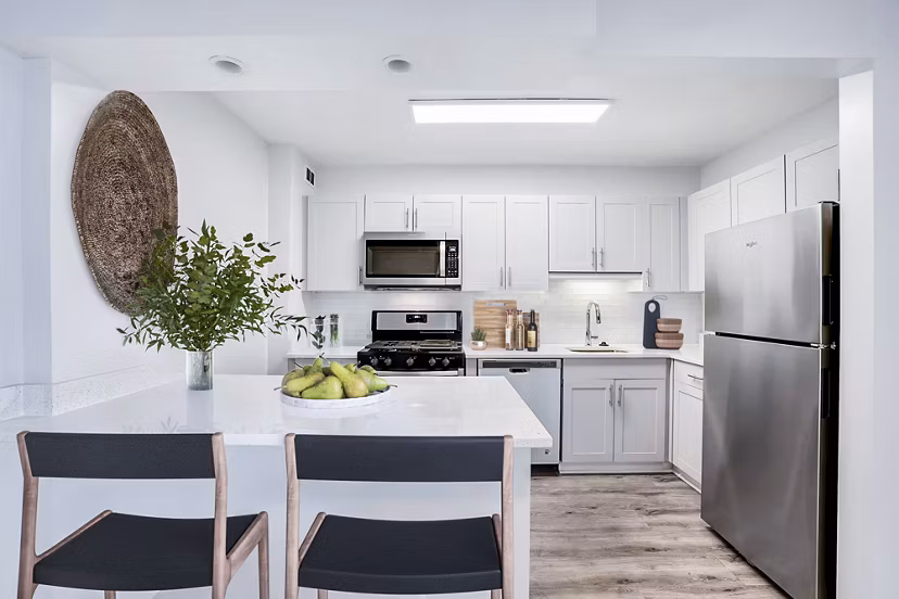 Kitchen with sleek countertops and modern appliances in Potomac Towers Apartments