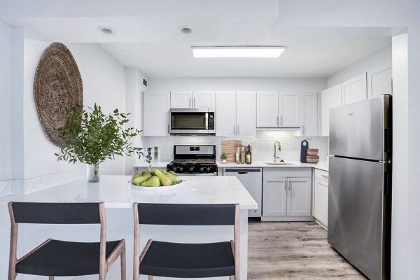 Kitchen with sleek countertops and modern appliances in Potomac Towers Apartments