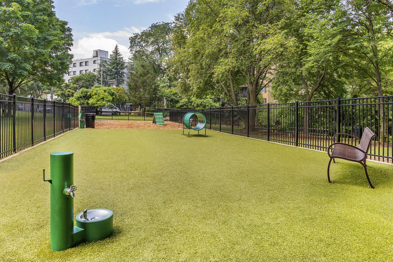 Dog park at Potomac Towers (1 of 2)