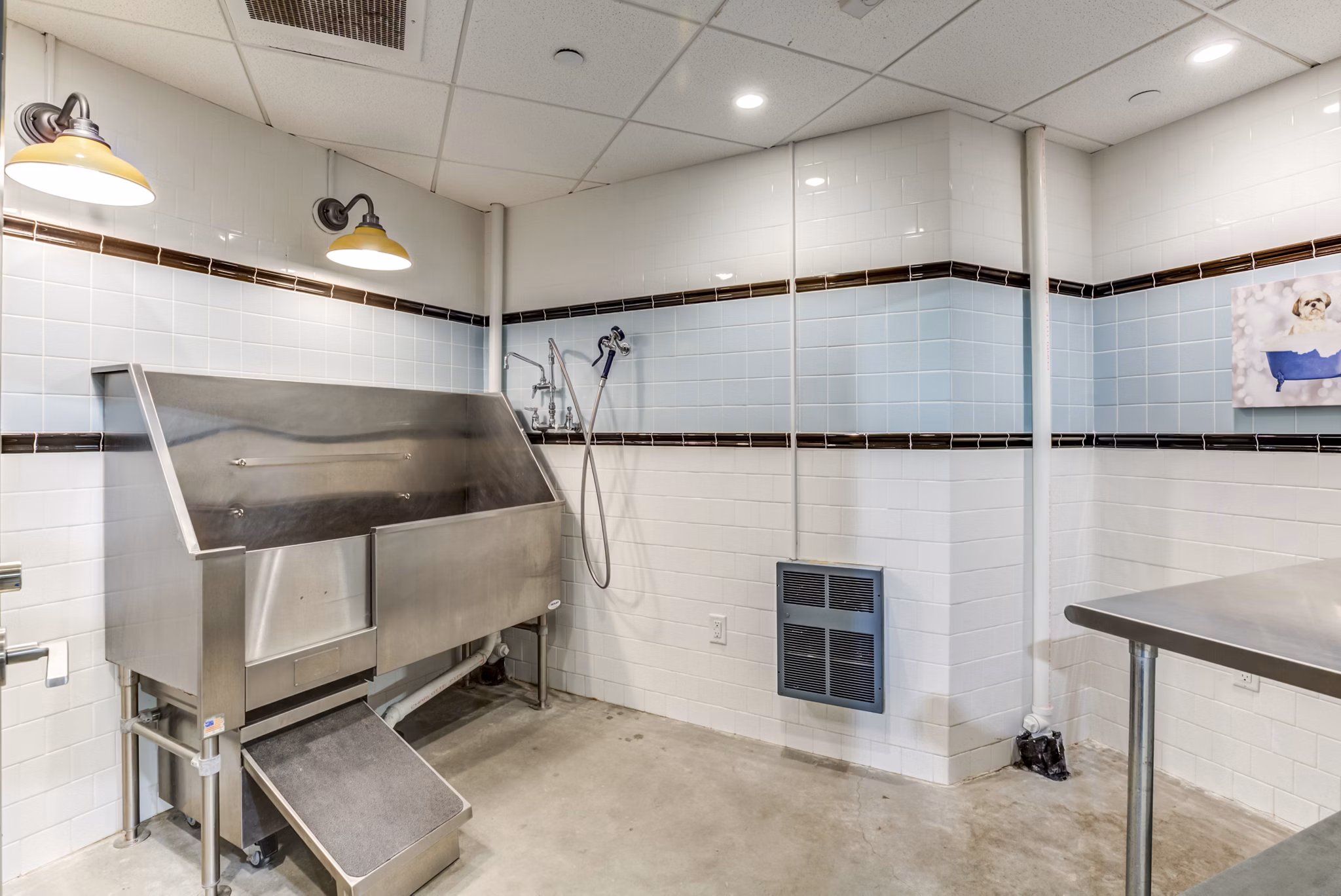 Dog wash station with stainless steel fixtures at Boston East Apartments, providing convenient pet care for residents in Boston luxury housing