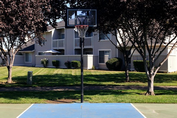 sport court at The Arbors Apartments