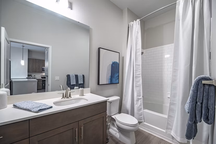 bathroom at Trails at Hunter's Lake Apartments