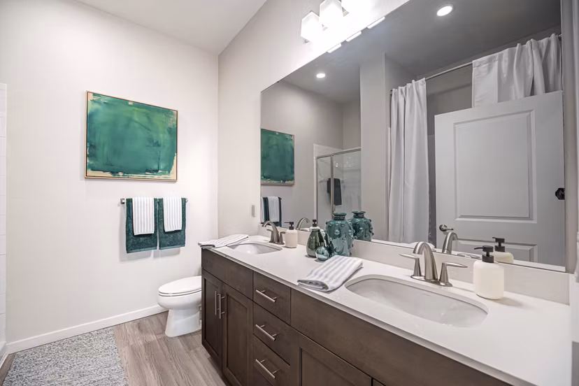 bathroom at Trails at Hunter's Lake Apartments