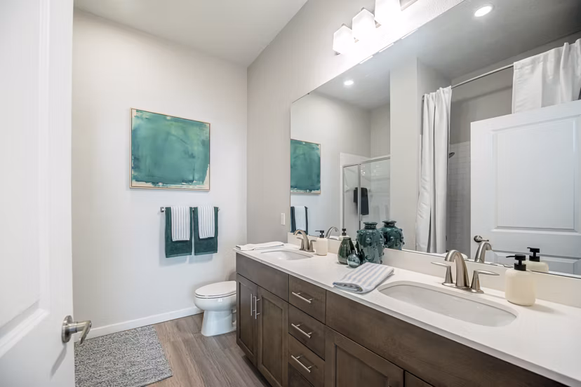 bathroom at Trails at Hunter's Lake Apartments