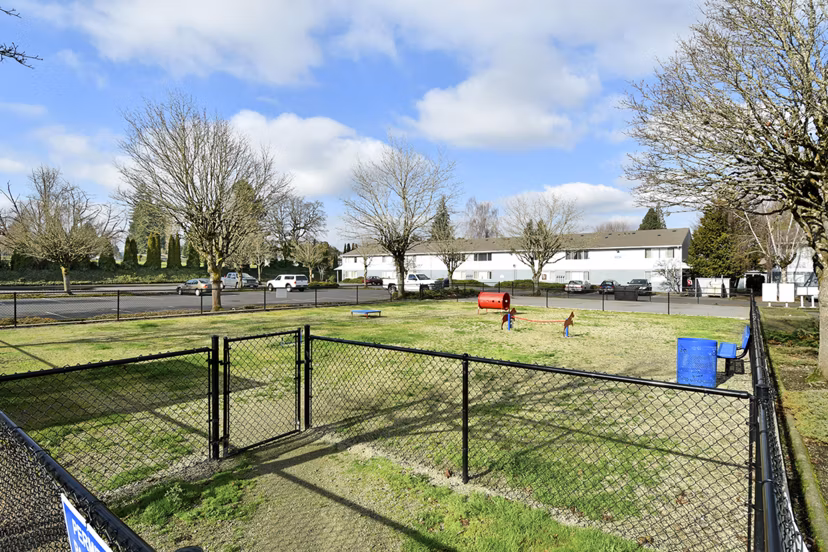 Spacious dog park with agility equipment at Lake Crest Apartments, perfect for pet-friendly living in a Greystar community