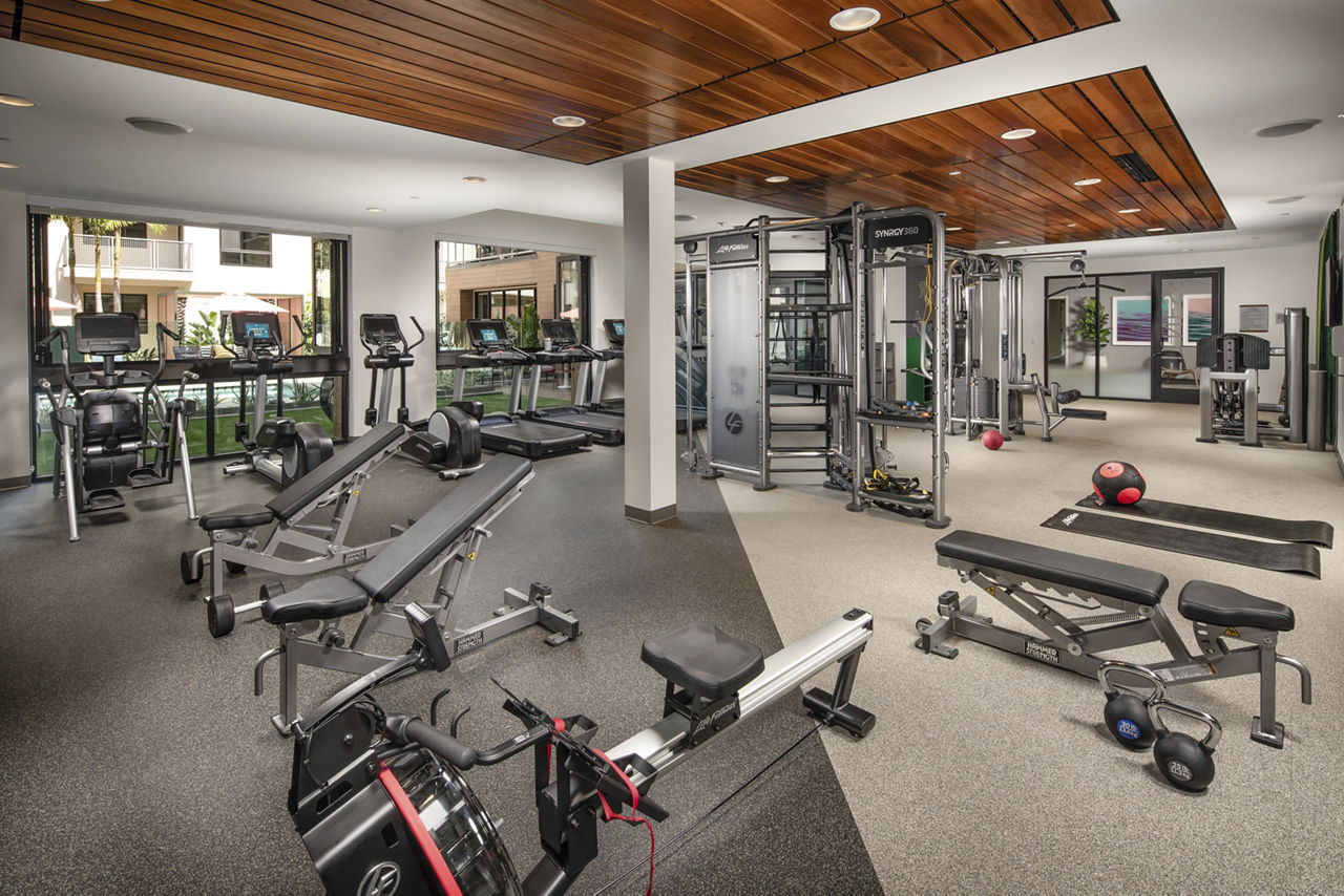 Gym at Cameo Apartments (1 of 4)