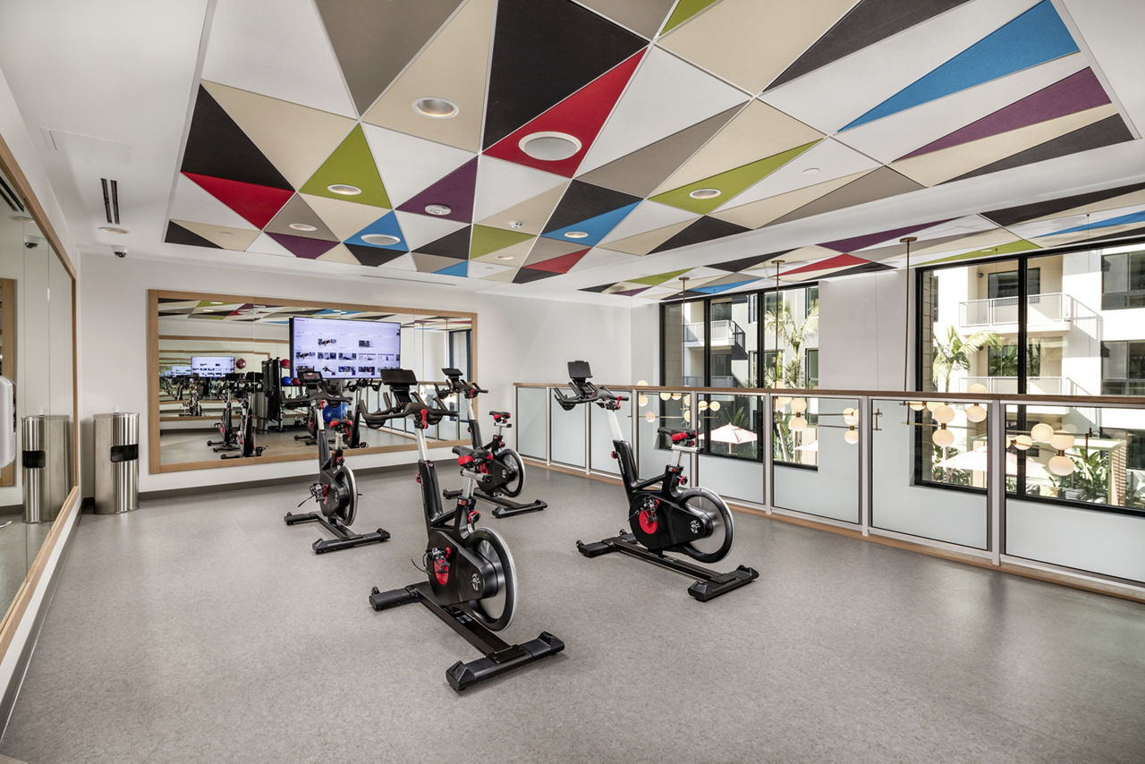 Gym at Cameo Apartments (3 of 4)