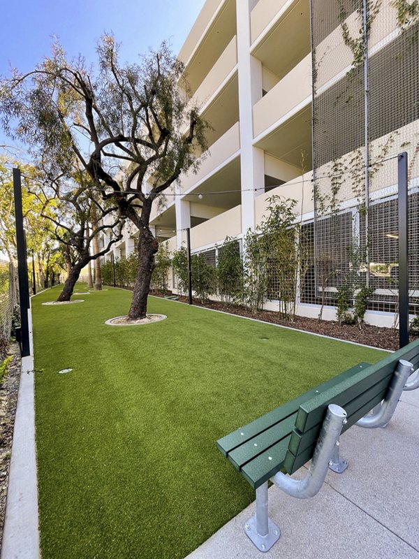 Dog-friendly green space at Cameo Apartments, featuring a spacious on-site dog park for resident enjoyment and pet-friendly activities