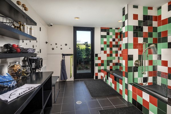 Dog wash station for resident convenience at Cameo Apartments