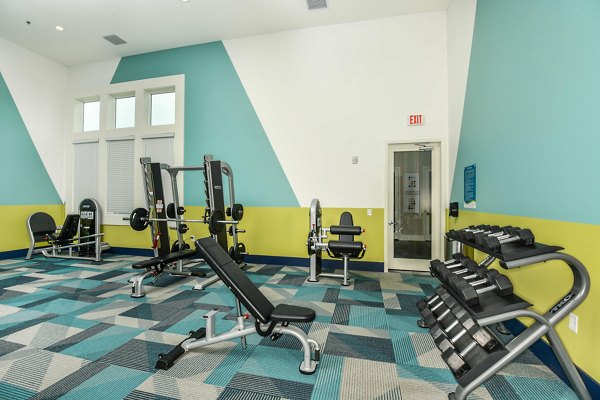State-of-the-art fitness center with modern equipment at Isla Apartments