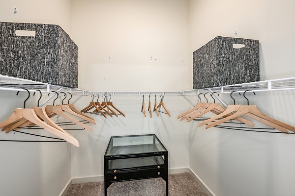 Spacious closet with ample shelving in Renaissance Santa Rosa Apartments