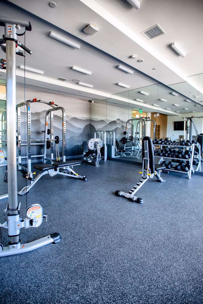 State-of-the-art fitness center with modern equipment at The 505 Apartments