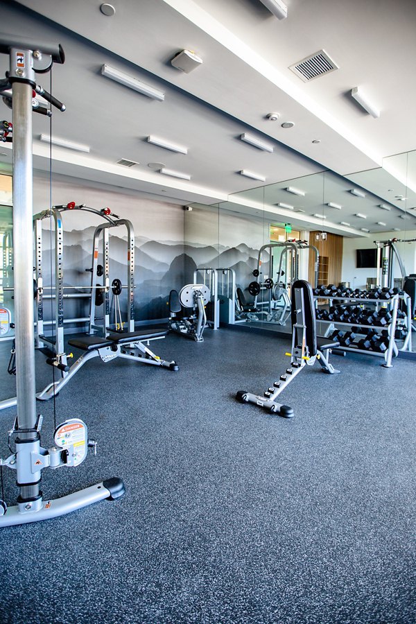 fitness center at The 505 Apartments