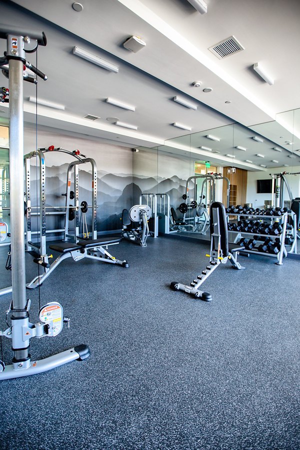 State-of-the-art fitness center with modern equipment at The 505 Apartments