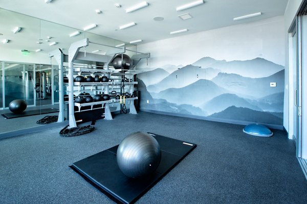 State-of-the-art fitness center with modern equipment at The 505 Apartments