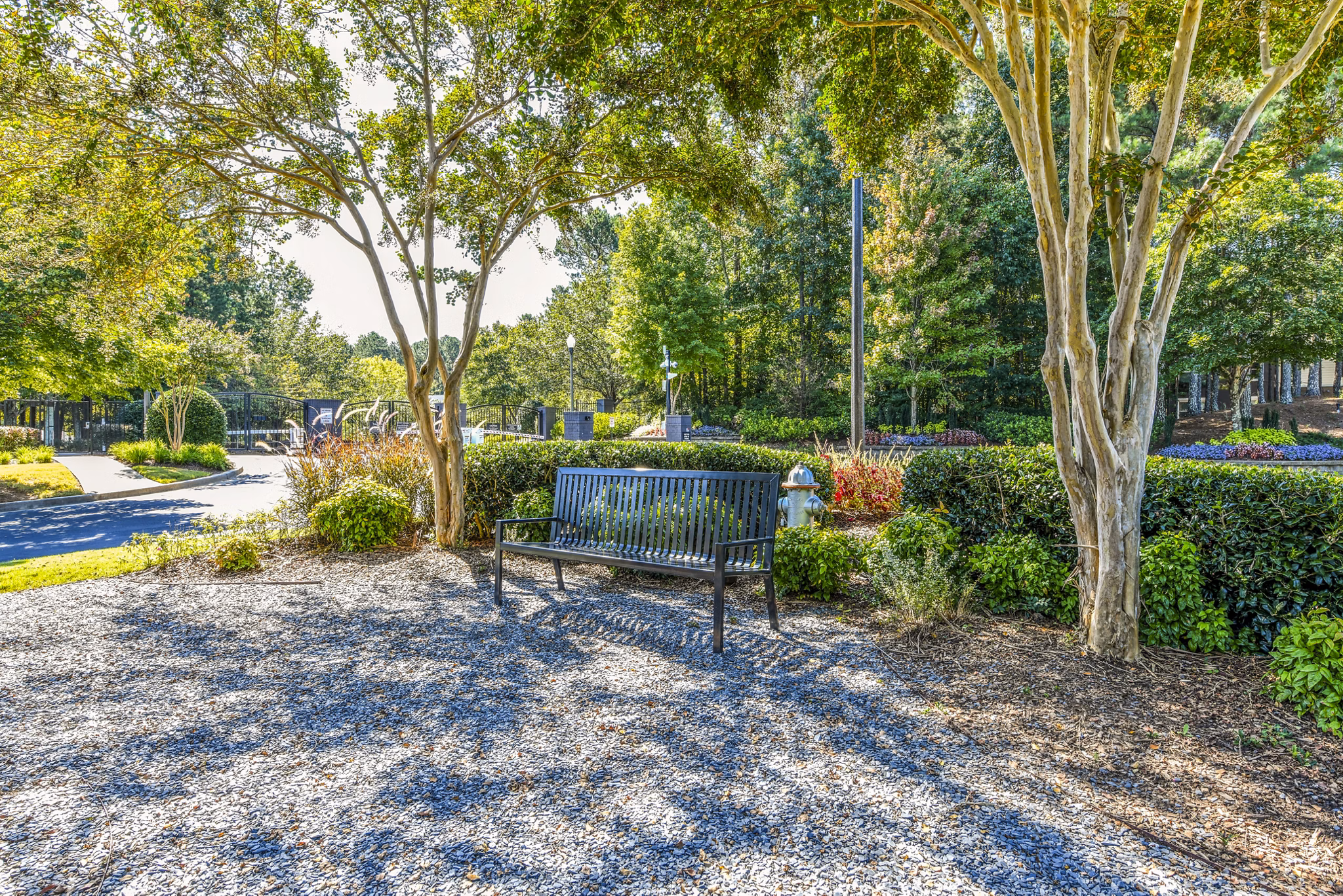 Tranquil courtyard with wooden bench at Avana Acworth Apartments luxury apartment community