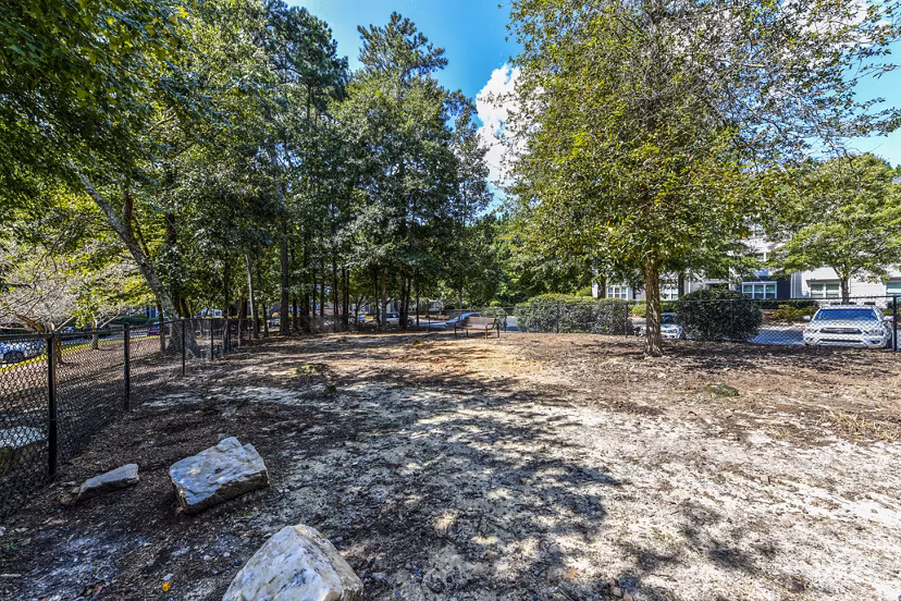 Spacious dog park with agility equipment at Avana Acworth Apartments