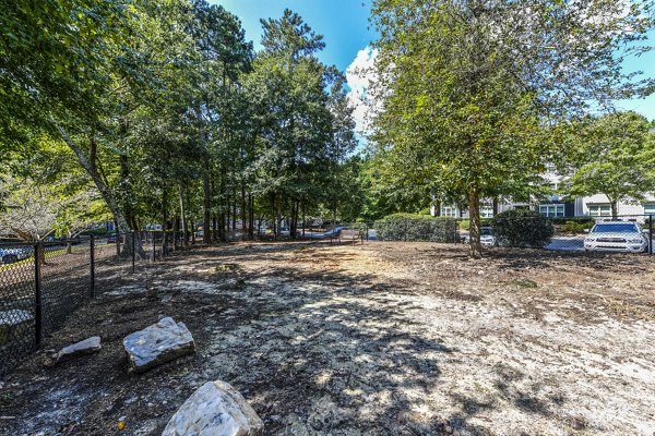 Spacious dog park with agility equipment at Avana Acworth Apartments