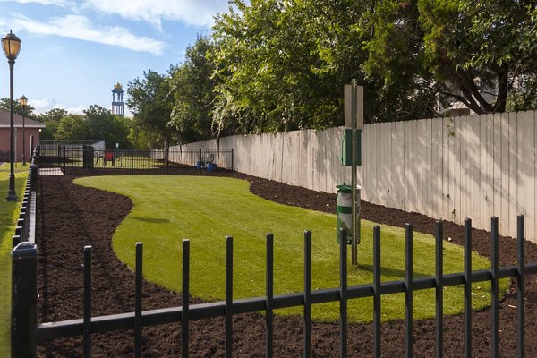 Expansive dog park with agility equipment at Avana SoCo Apartments